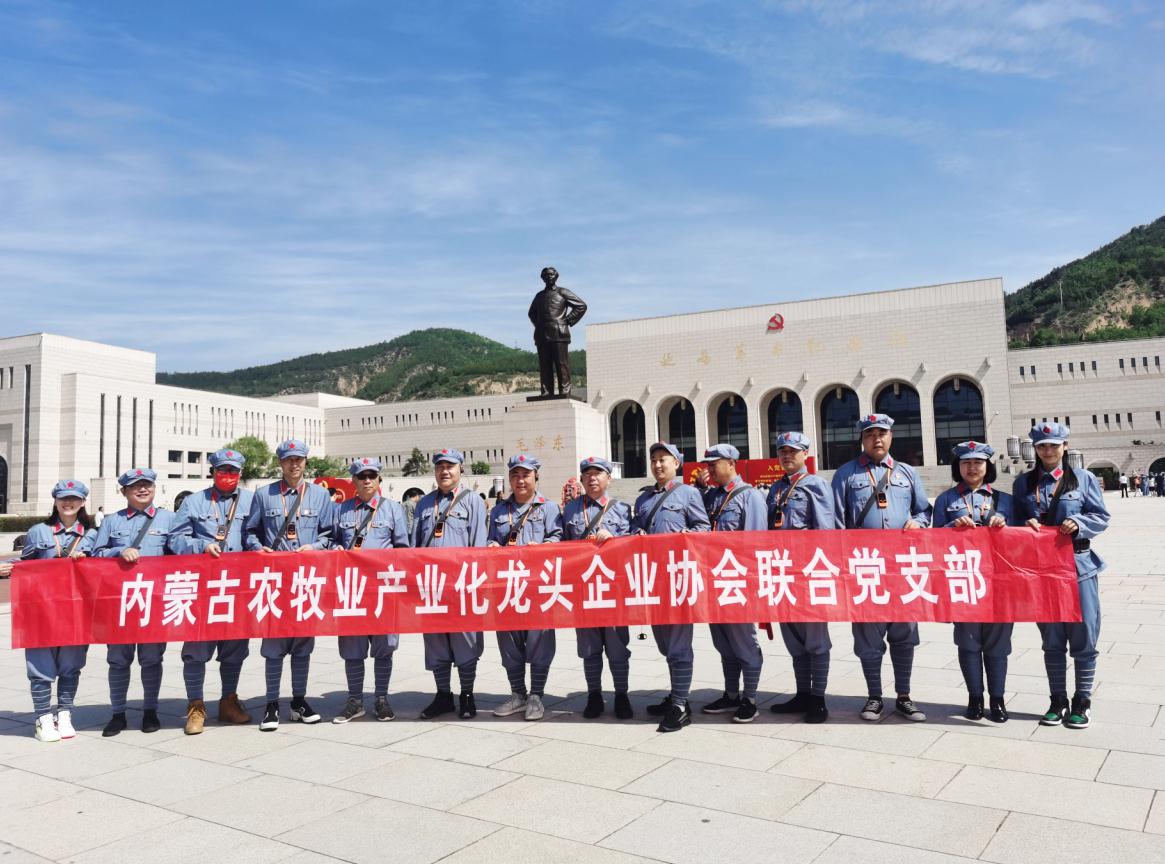 內(nèi)蒙古農(nóng)牧業(yè)產(chǎn)業(yè)化龍頭企業(yè)協(xié)會聯(lián)合黨支部赴延安革命圣地開展“學(xué)黨史、感黨恩、跟黨走”主題黨日活動