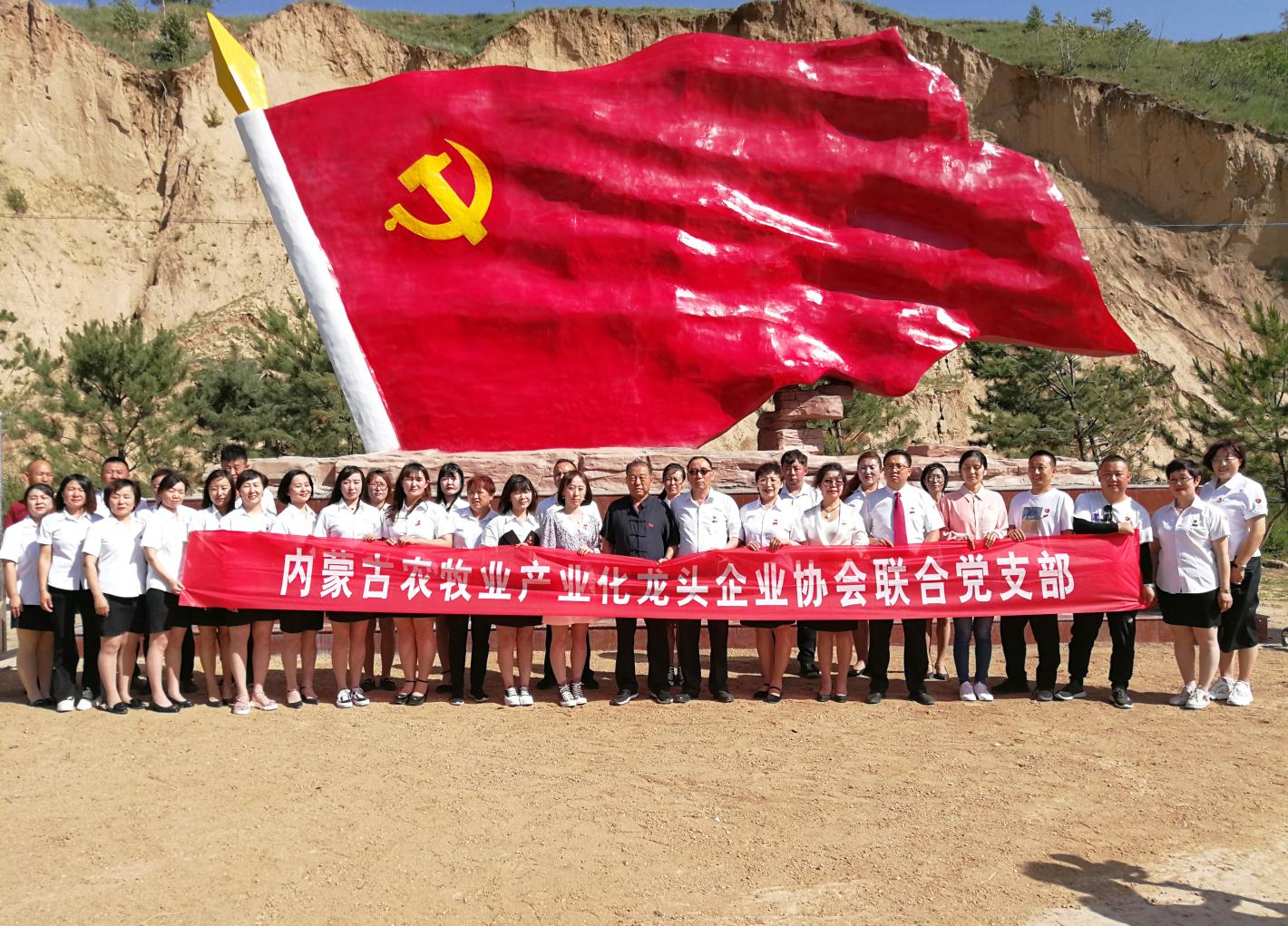 內(nèi)蒙古農(nóng)牧業(yè)產(chǎn)業(yè)化龍頭企業(yè)協(xié)會走進石人灣村開展“辦實事、解難題，送溫暖，傳黨恩”公益活動